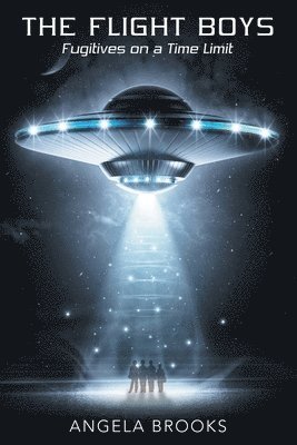 Angela Brooks - Flight Boys, Häftad