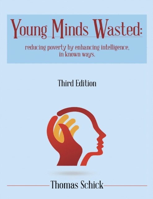 Thomas Schick - Young Minds Wasted: Reducing Poverty By Enchancing Intelligence, In Known Ways., E-bok