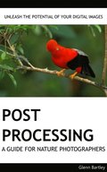 Post Processing: A Guide For Nature Photographers