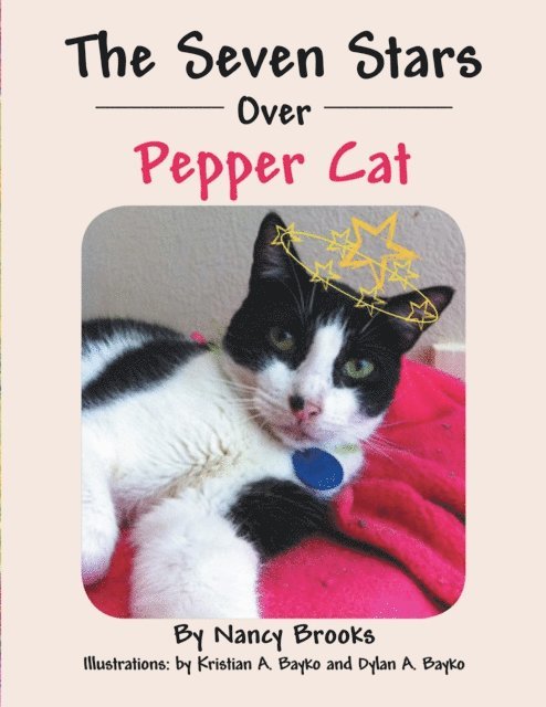 Nancy Brooks - Seven Stars over Pepper Cat, E-bok