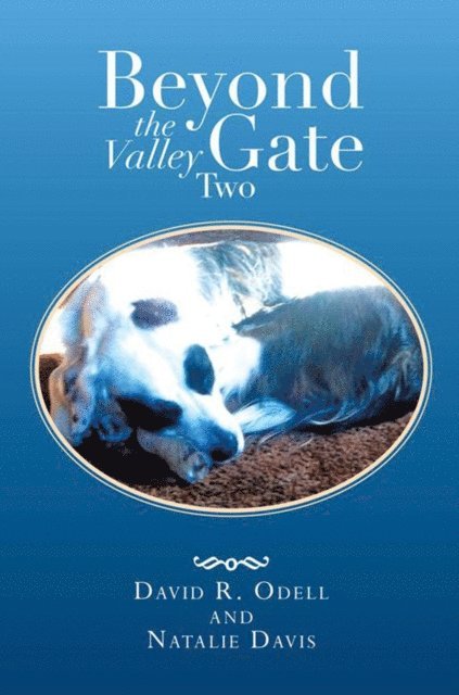Natalie Davis, David R. Odell - Beyond the Valley Gate Two, E-bok