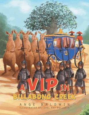Ange Baldwin - VIP in Billabong Creek, Häftad