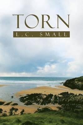 L C Small - Torn, Häftad