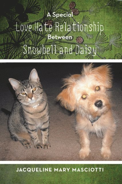 Special Love Hate Relationship Between Snowbell and Daisy