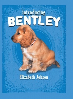 Elizabeth Jobson - Introducing Bentley, Inbunden. Tillgänglighet: Lägg i varukorg