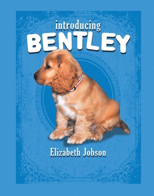 Elizabeth Jobson - Introducing Bentley, E-bok. Tillgänglighet: Lägg i varukorg