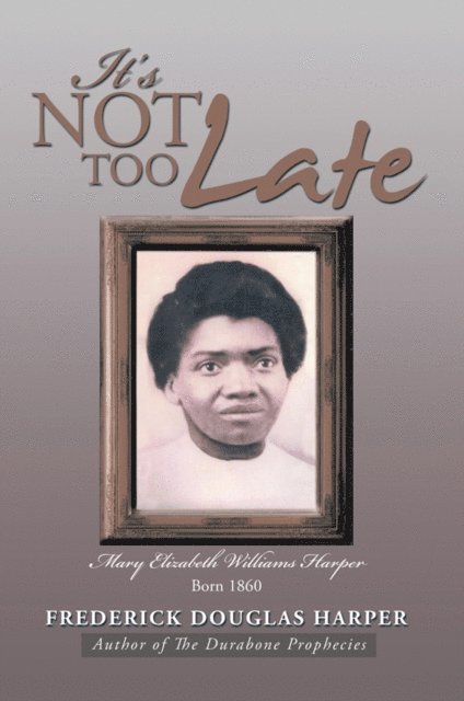 Frederick Douglas Harper - It's Not Too Late, E-bok