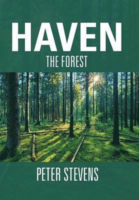 Peter Stevens - Haven, Inbunden