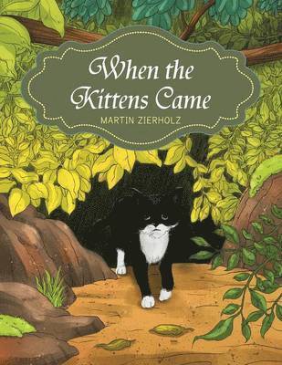 Martin Zierholz - When the Kittens Came, Häftad. Tillgänglighet: Lägg i varukorg