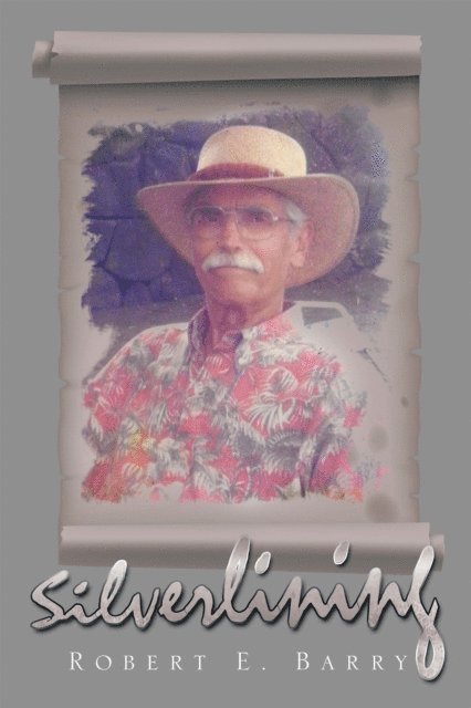 Robert Barry - Silverlining, E-bok