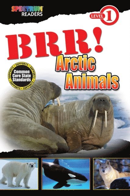 Teresa Domnauer - BRR! Arctic Animals, E-bok. Tillgänglighet: Lägg i varukorg
