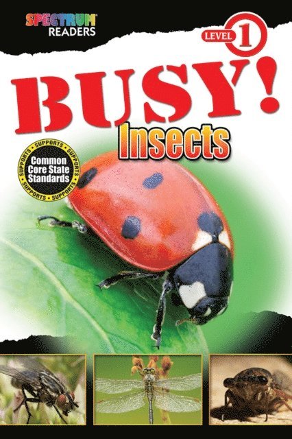 Lisa Kurkov - BUSY! Insects, E-bok. Tillgänglighet: Lägg i varukorg