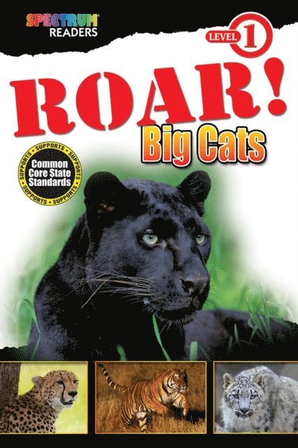 Lisa Kurkov - ROAR! Big Cats, E-bok. Tillgänglighet: Lägg i varukorg