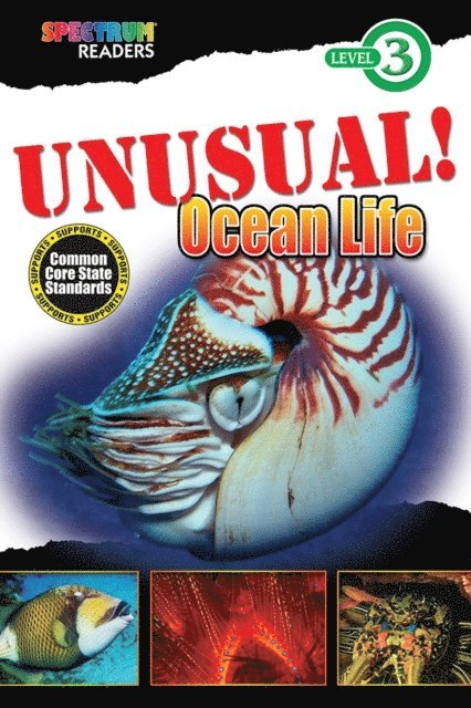 Teresa Domnauer - UNUSUAL! Ocean Life, E-bok. Tillgänglighet: Lägg i varukorg
