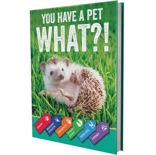 Carson Dellosa Education, Rourke Educational Media - You Have a Pet What?!, E-bok. Tillgänglighet: Lägg i varukorg