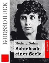Hedwig Dohm - Schicksale einer Seele (Großdruck), Häftad. Tillgänglighet: Lägg i varukorg