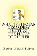 What is Bi Polar Disorder? Putting the Pieces Together
