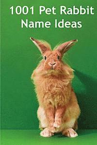 Alison Thompson - 1001 Pet Rabbit Name Ideas: The most popular, quirky, and fun names you could give your pet rabbit!, Häftad