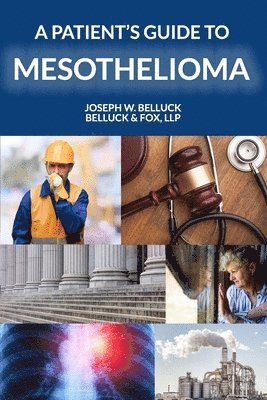 Joseph W. Belluck - A Patient's Guide to Mesothelioma, Häftad. Tillgänglighet: Lägg i varukorg
