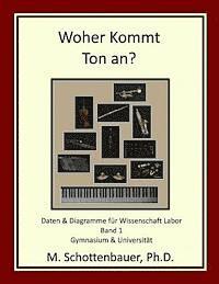 M. Schottenbauer - Woher Kommt Ton an? Daten & Diagramme für Wissenschaft Labor: Band 1, Häftad. Tillgänglighet: Lägg i varukorg