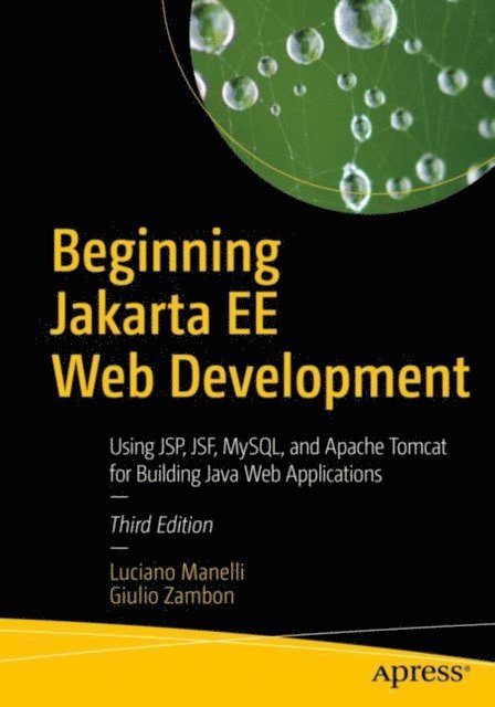 Giulio Zambon, Luciano Manelli - Beginning Jakarta EE Web Development, E-bok