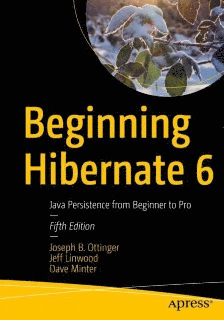 Dave Minter, Jeff Linwood, Joseph B. Ottinger - Beginning Hibernate 6, E-bok
