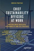 Chief Sustainability Officers At Work