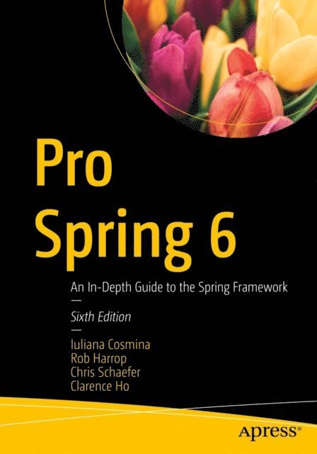 Clarence Ho, Chris Schaefer, Rob Harrop, Iuliana Cosmina - Pro Spring 6, E-bok