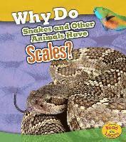 Clare Lewis - Why Do Snakes and Other Animals Have Scales?, Häftad