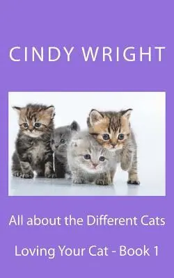 Cindy Wright - All about the Different Cats, Häftad. Tillgänglighet: Lägg i varukorg