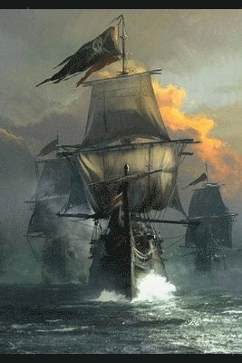 Wl Cox - Storm Warrior, Häftad