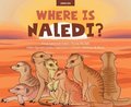 Where Is Naledi