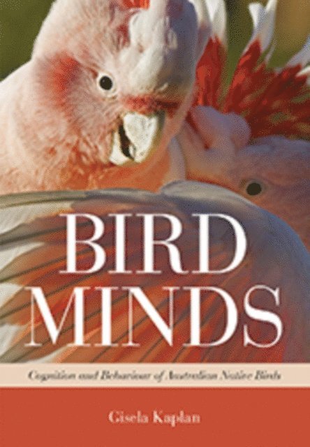 Gisela Kaplan - Bird Minds, E-bok