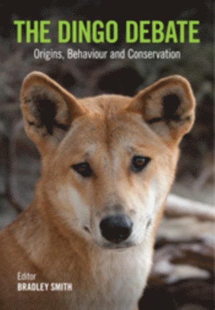 Bradley Smith - Dingo Debate, E-bok