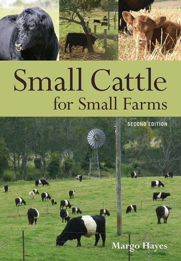Margo Hayes - Small Cattle for Small Farms, Häftad