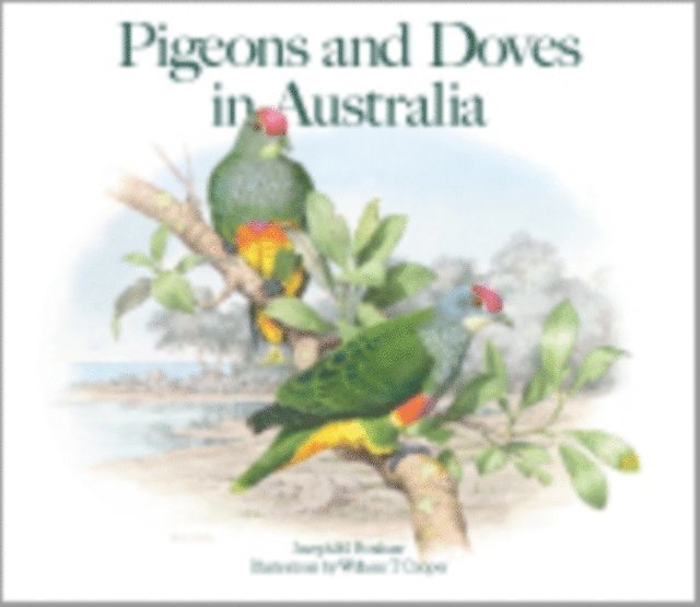 William T. Cooper, Joseph M. Forshaw - Pigeons and Doves in Australia, E-bok