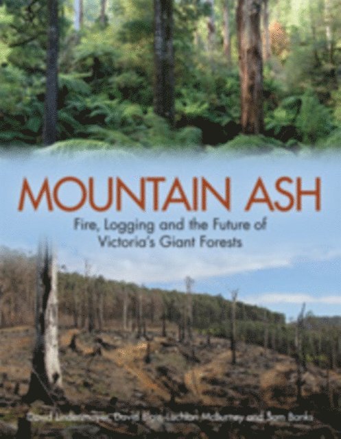 Sam Banks, Lachlan McBurney, David Blair, David Lindenmayer - Mountain Ash, E-bok