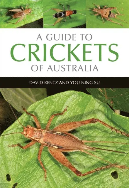 You Ning Su, David Rentz - Guide to Crickets of Australia, E-bok. Tillgänglighet: Lägg i varukorg