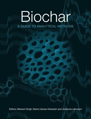 Balwant Singh, Marta Camps-Arbestain, Johannes Lehmann - Biochar, Häftad. Tillgänglighet: Lägg i varukorg
