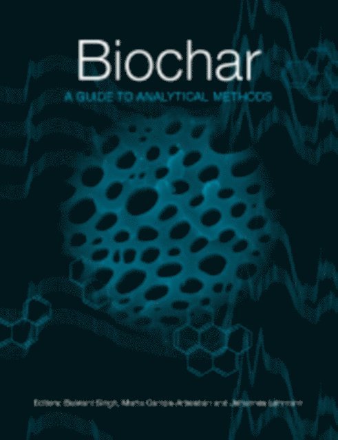 Johannes Lehmann, Marta Camps-Arbestain, Balwant Singh - Biochar, E-bok