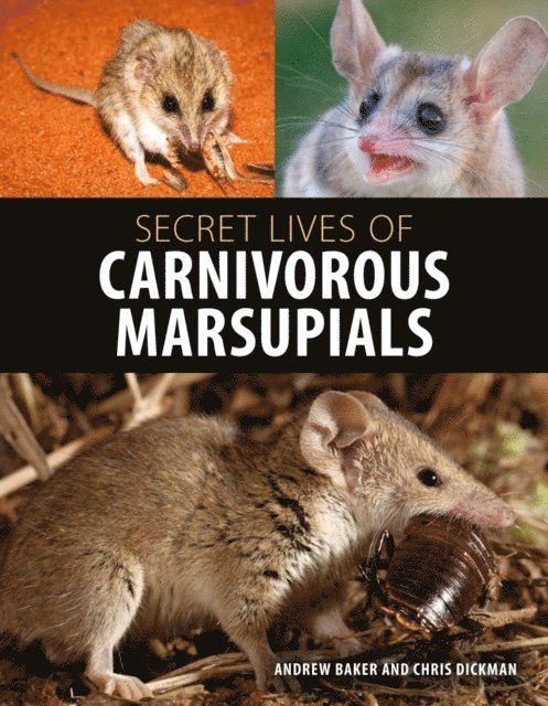 Christopher Dickman, Andrew Baker - Secret Lives of Carnivorous Marsupials, E-bok