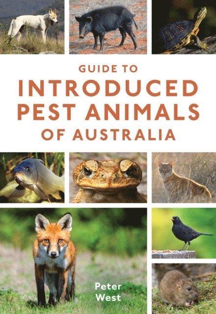 Peter West - Guide to Introduced Pest Animals of Australia, E-bok
