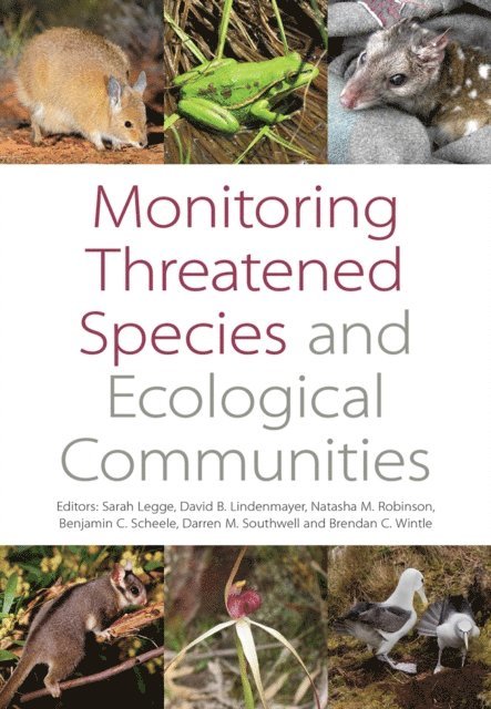 Brendan A. Wintle, Darren M. Southwell, Benjamin C. Scheele, Natasha M. Robinson, David B. Lindenmayer, Sarah Legge - Monitoring Threatened Species and Ecological Communities, E-bok