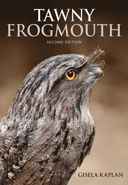 Gisela Kaplan - Tawny Frogmouth, E-bok
