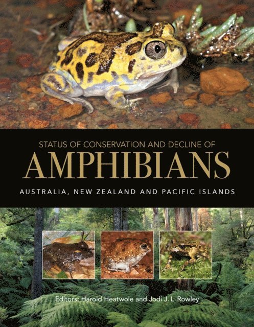Jodi J.L. Rowley, Harold Heatwole - Status of Conservation and Decline of Amphibians, E-bok