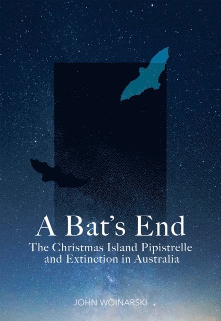 John Woinarski - Bat's End, E-bok