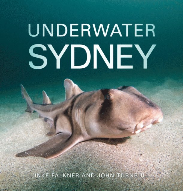 John Turnbull, Inke Falkner - Underwater Sydney, E-bok