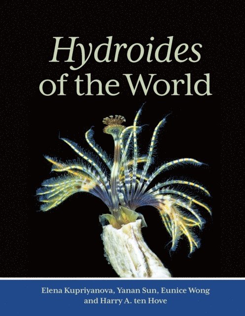 Harry A. ten Hove, Eunice Wong, Yanan Sun, Elena Kupriyanova - Hydroides of the World, E-bok