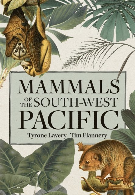 Tim Flannery, Tyrone Lavery - Mammals of the South-west Pacific, E-bok