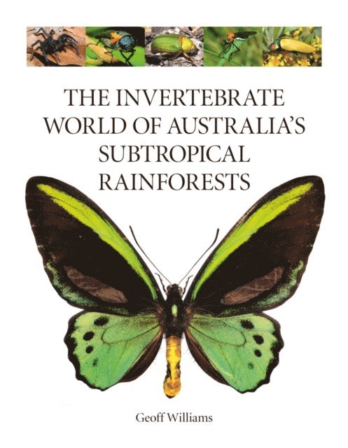 Geoff Williams - Invertebrate World of Australia's Subtropical Rainforests, E-bok